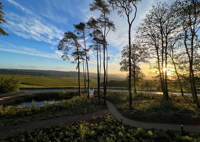 LOISIUM Wine&Spa Hotel Champagne